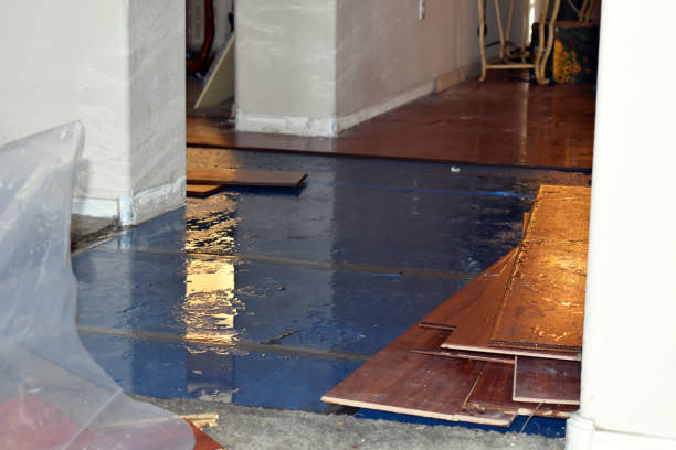 Professional Flood Cleanup technician working in Leesburg, OH